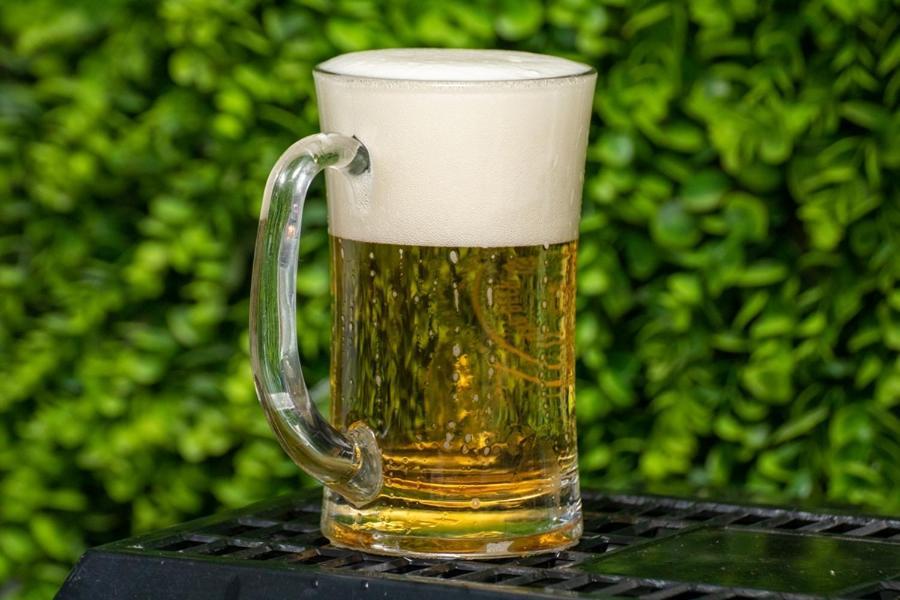 盆苏尼亚多瑙河酒店 Ieşelniţa 外观 照片